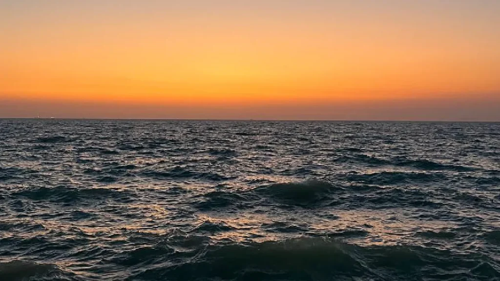 qfc_ مرغ سوخاری قشم